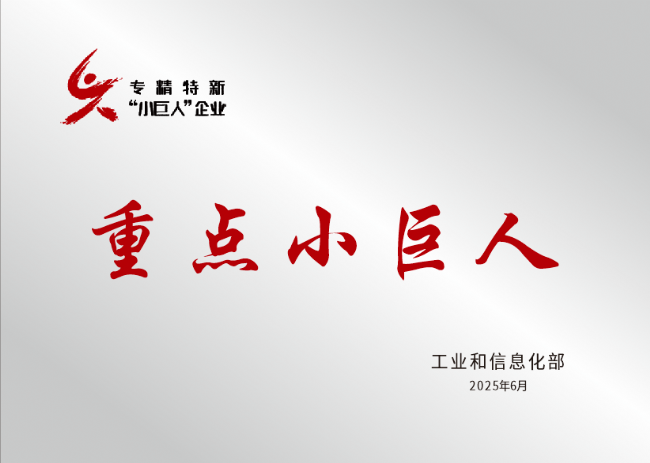 專精特新重點(diǎn)小巨人