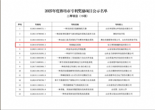 二等項(xiàng)目